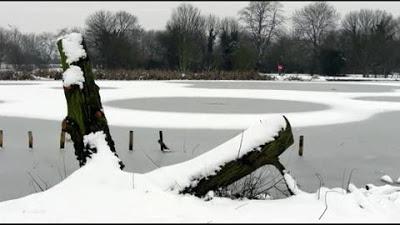 Aparecen nuevos CROP CIRCLE , pero esta vez sobre la nieve