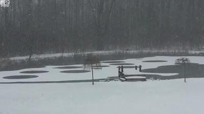 Aparecen nuevos CROP CIRCLE , pero esta vez sobre la nieve