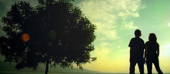 Dejemos la ceguera IF