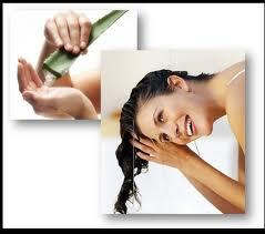 http://lifealoeveranatur.blogspot.com