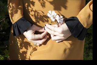 Small Branch: ANILLOS Small Branch: ANILLOS