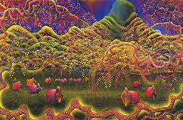 Una mirada a la Tica... Una mirada a la Tica...