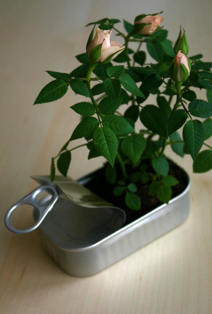 Mar idea: jarrones originales Mar idea: jarrones originales