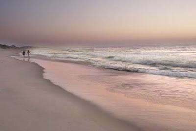 Vida Eco: Walking vs Running Vida Eco: Walking vs Running