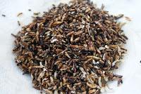 Chop-Suey de Pollo con Arroz Salvaje Frito Chop-Suey de Pollo con Arroz Salvaje Frito