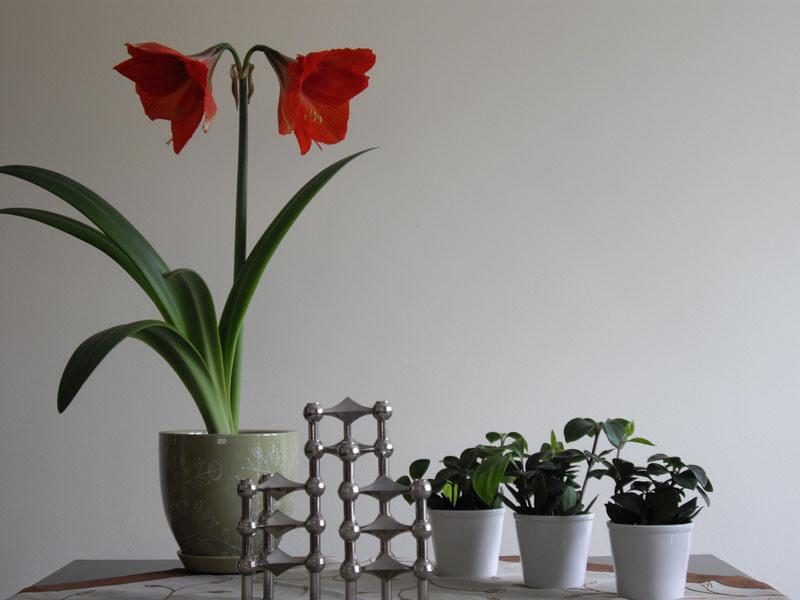 CANDELABROS MECANO CANDELABROS MECANO