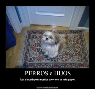 PARTISTE…Y YO TOME ESA DECISIÓN. PARTISTE…Y YO TOME ESA DECISIÓN.