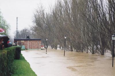 El Pisuerga enfurecido. La gran riada del 6 de marzo de 2001. El Pisuerga enfurecido. La gran riada del 6 de marzo de 2001.