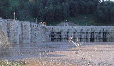 El Pisuerga enfurecido. La gran riada del 6 de marzo de 2001. El Pisuerga enfurecido. La gran riada del 6 de marzo de 2001.