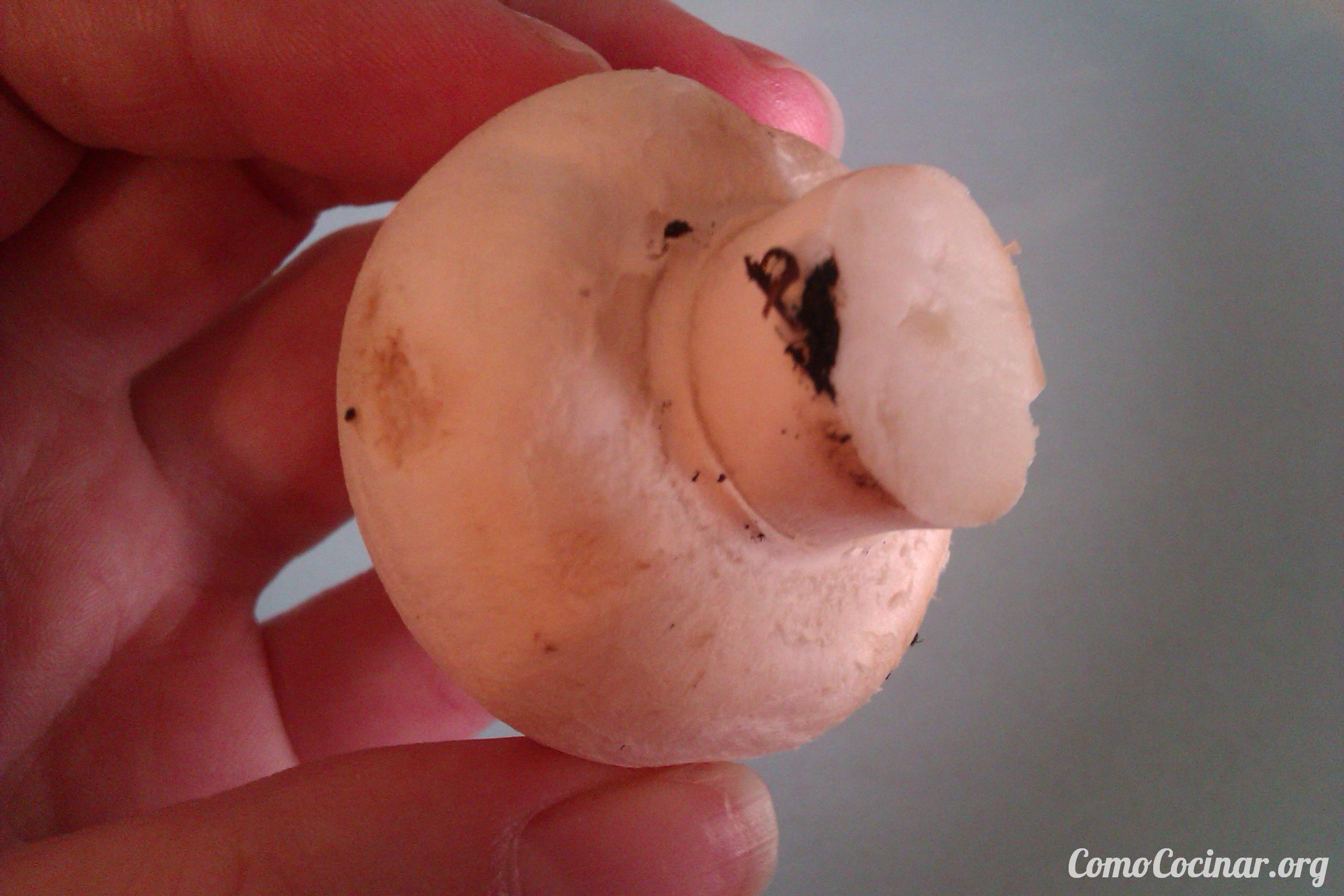 ¿Cómo hacer salsa de champiñones? Paso a paso Salsa de champiñones