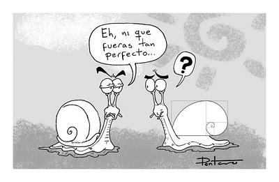 Belleza matemática ( o el misterio de Fibonacci) fibonacci