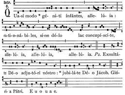 DOMINGO IN ALBIS O DE QUASIMODO DOMINGO IN ALBIS O DE QUASIMODO