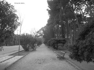 Un paseo por el jardín botánico de Zaragoza.