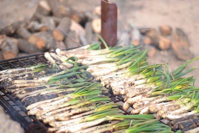 Calçotada (Green Pullover)