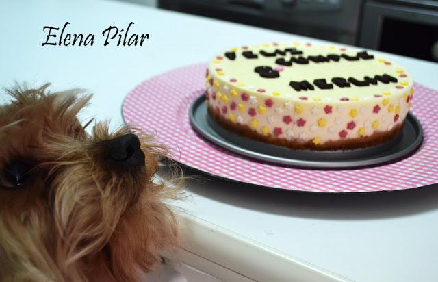 Tarta de Cuajada y Galletas por el 8º cumpleaños de Merlín (Thermomix)