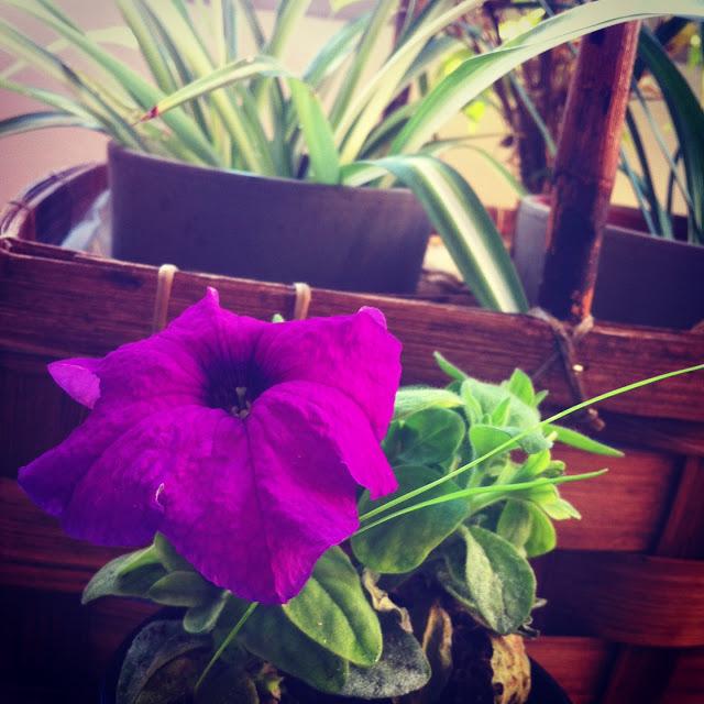 Instaweek (Food & me) Instaweek (Food & me)