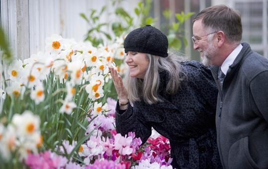 Los mejores eventos en Belfast International Rose Trials and Rose Week