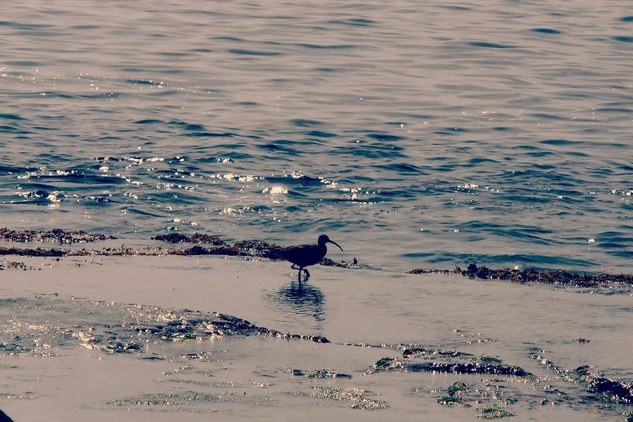 In the beach In the beach