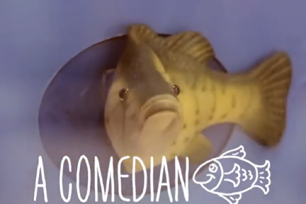 lindopescadito.png Captura de pantalla 2013 04 08 a la s 08 43 26