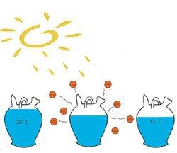 Cosas horrorosas…(Aviso: incluye Botijo Tejero) 0007351