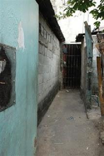 Revelan pilotos de Show Aéreo del Caribe no querian volar ese dia. Revelan pilotos de Show Aéreo del Caribe no querian volar ese dia.