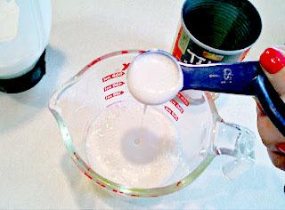 Shampoo con Leche de Coco homemade coconut milk