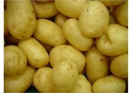 patatas2 La patata: un alimento nutritivo, económico y versátil que no engorda