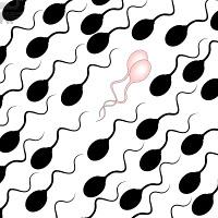 COMO TUS ORGASMOS PUEDEN PROTEGER SU SALUD COMO TUS ORGASMOS PUEDEN PROTEGER SU SALUD