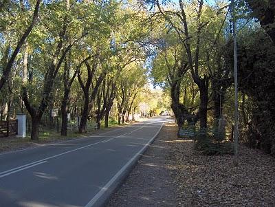 Modas de aquí y de allá Modas de aquí y de allá