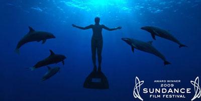 thecove The Cove: documental sobre la matanza de delfines en Japón