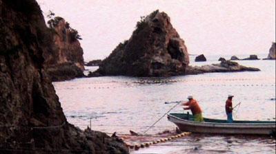 dolphin-stab-far The Cove: documental sobre la matanza de delfines en Japón