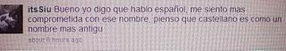 Yo hablo español o ¿castellano? Yo hablo español o ¿castellano?