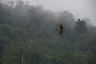 Llegando al caribe desde Rio Dulce y de vuelta a La Antigua Llegando al caribe desde Rio Dulce y de vuelta a La Antigua