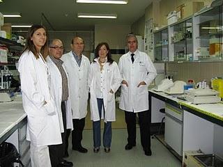 Un antidiabético de los más utilizados previene el daño que uno de los antibióticos más frecuentes provoca al riñón‏