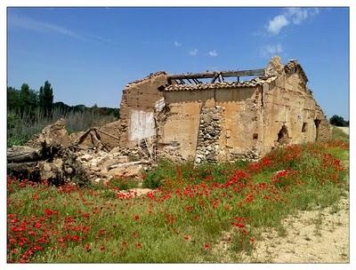 De quinterías y amapolas a orillas del Júcar