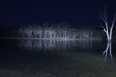 Lake Mungo (Joel Anderson, 2008)