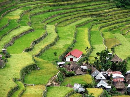 MONTAÑAS DE ARROZ Y PUEBLOS ANCESTRALES