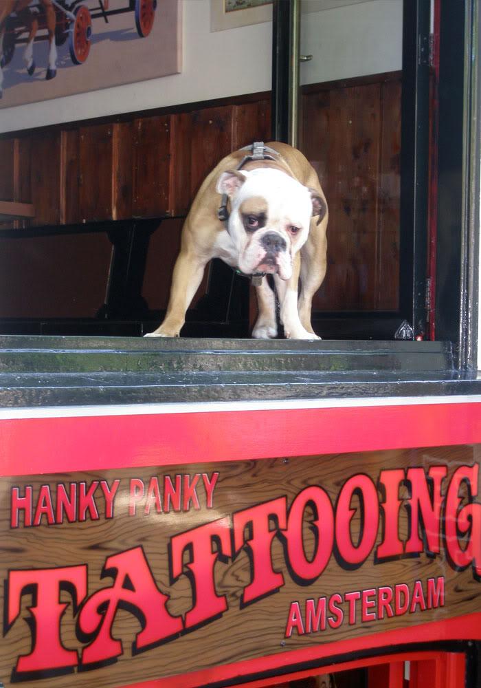 IAmsterdam Amsterdam,Amsterdam,Amsterdam,Paloma,Paloma,Paloma