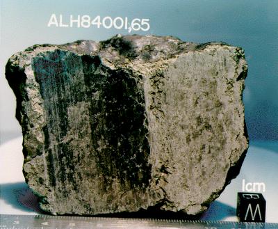 Meteorito ALH84001 muestra evidencia de vida microscópica en Marte Meteorito ALH84001 muestra evidencia de vida microscópica en Marte