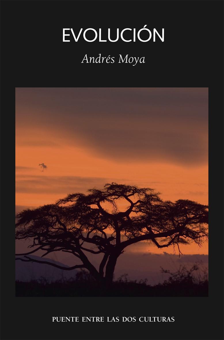 Evolución, de Andrés Moya Evolución, de Andrés Moya
