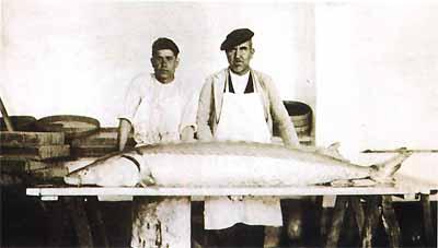El declive de la desembocadura del Guadalquivir El declive de la desembocadura del Guadalquivir