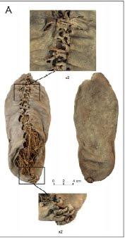 Los zapatos más antiguos del mundo, llevan cordones y tienen 5.500 años