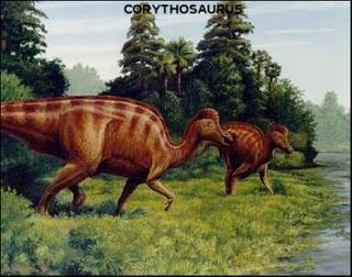 Corythosaurus Corythosaurus