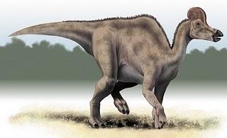 Corythosaurus Corythosaurus
