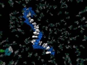 origenvida Procesos en el origen de la vida