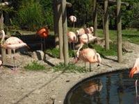 Zoo de Santillana del Mar