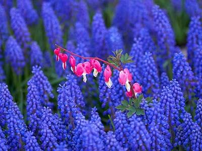 !No te Duermas sin un Cuento! !No te Duermas sin un Cuento!