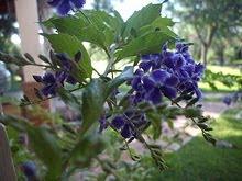 !No te Duermas sin un Cuento! !No te Duermas sin un Cuento!