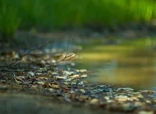 ¿Porqué es necesaria la revisión del campo visual? ¿Porqué es necesaria la revisión del campo visual?