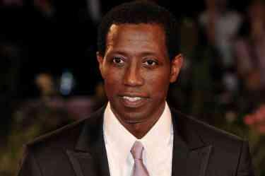 Que bueno..!! Wesley Snipes queda libre prisión federal (Buena Leccion Pa' Que Sea Serio)